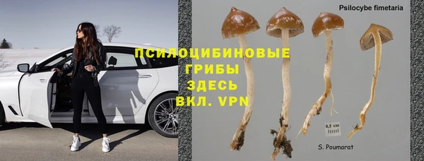 гидра Алзамай